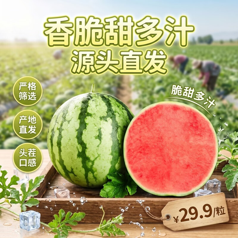 ����Ȥ������ժ�������� ����Ƥ������������� ����7-9�� 29Ԫ
