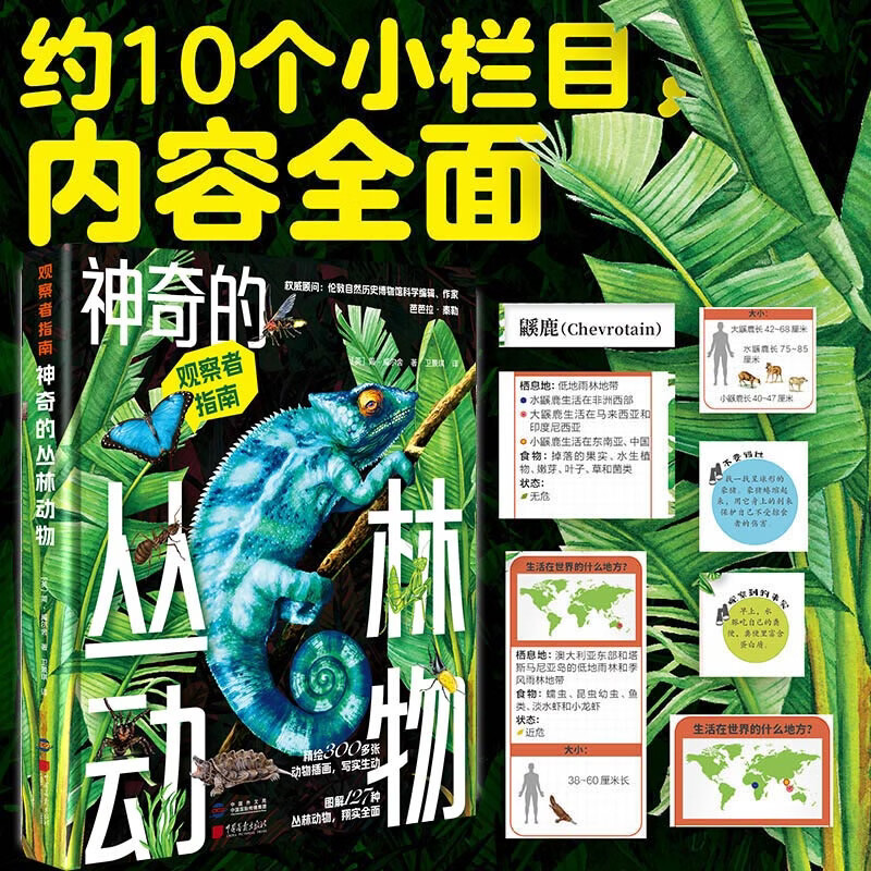 观察者指南:神奇的丛林动物+不可思议的恐龙(套装2册) 不可思议的恐龙