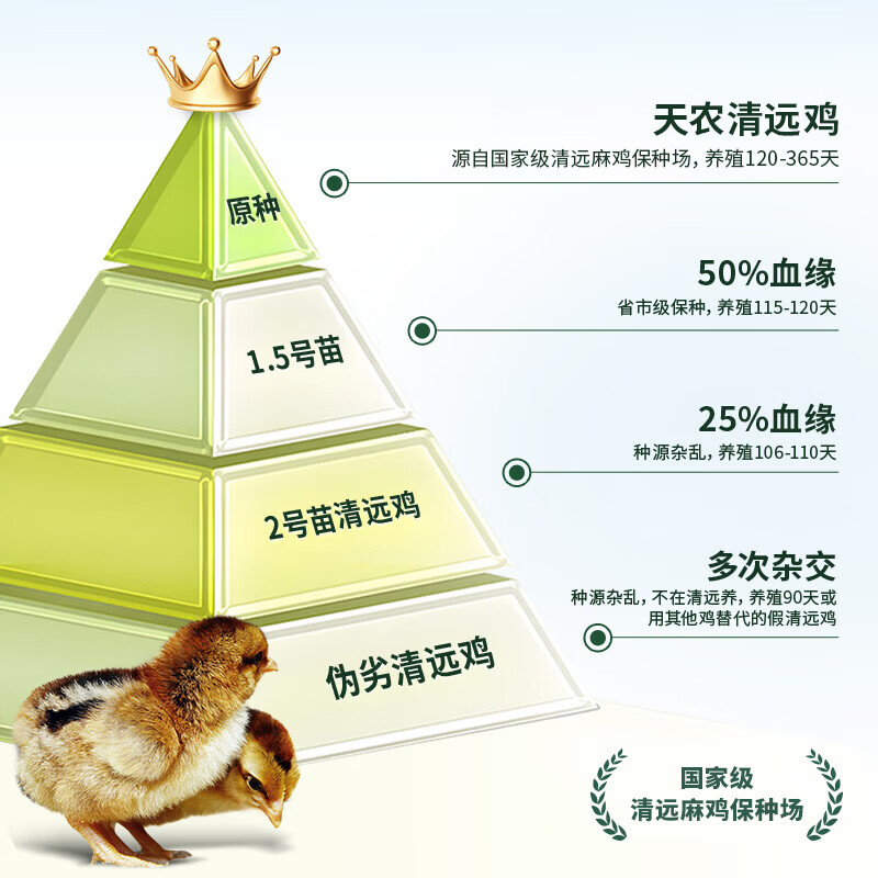 天农清远鸡皇后鸡 长天龄慢养老母鸡 汤鲜味美 月子炖汤生鲜食材 皇后鸡1只+清远鸡切块1盒