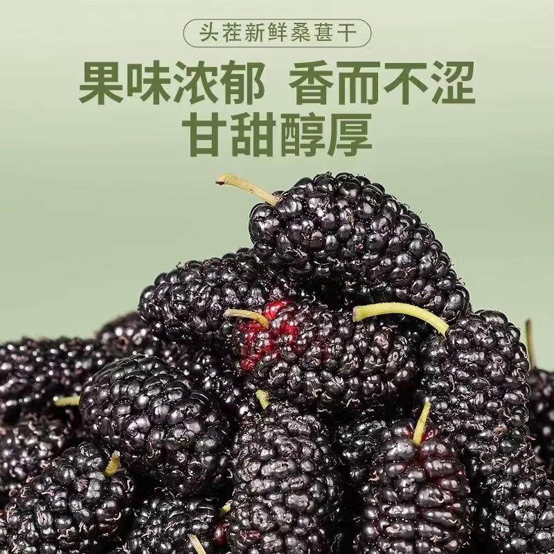 同仁堂(TRT)桑葚干黑桑椹特级大果无沙黑桑葚中药材新疆正宗一级泡水泡茶泡酒 桑葚干 220g*4罐 含罐装