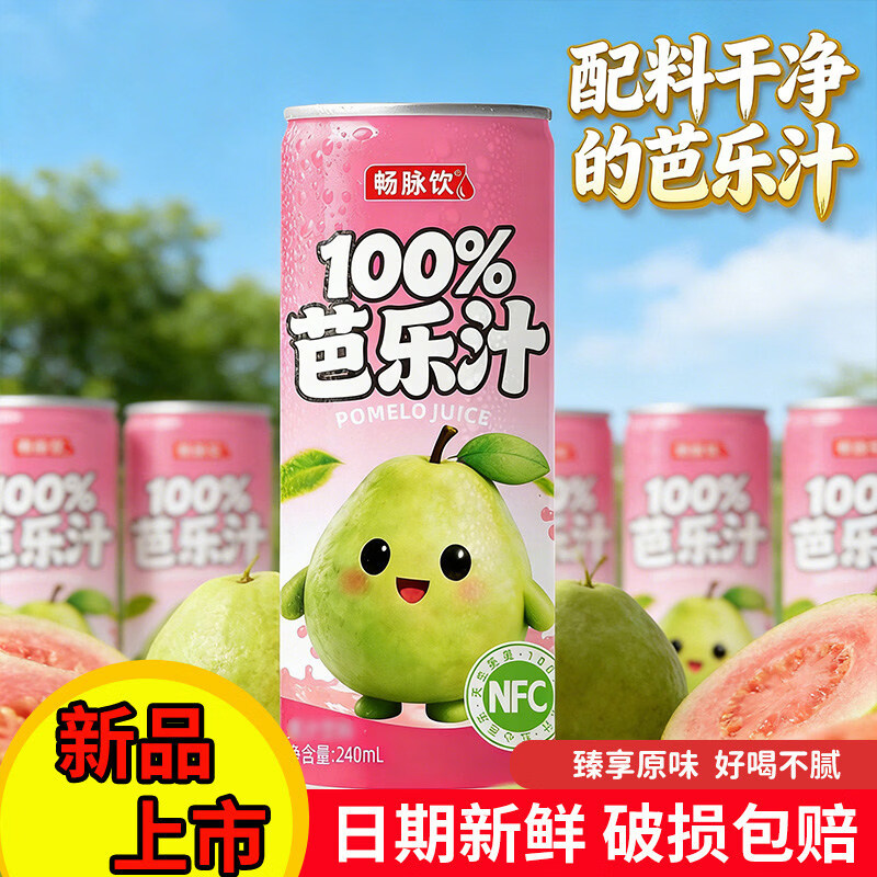 畅脉饮夏季饮品酸甜可口罐装240ml芭乐汁0添加健康整箱解渴饮 山竹汁240ml*8罐