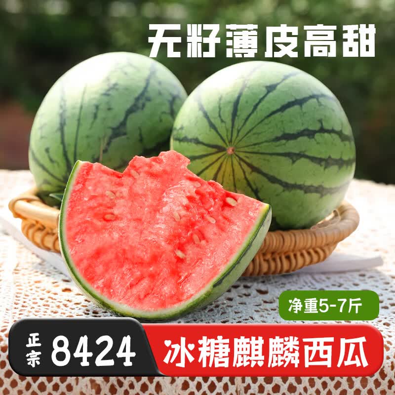 京觅沙地麒麟少籽甜西瓜 净重5-7斤 新鲜水果时令生鲜应当季源头直发