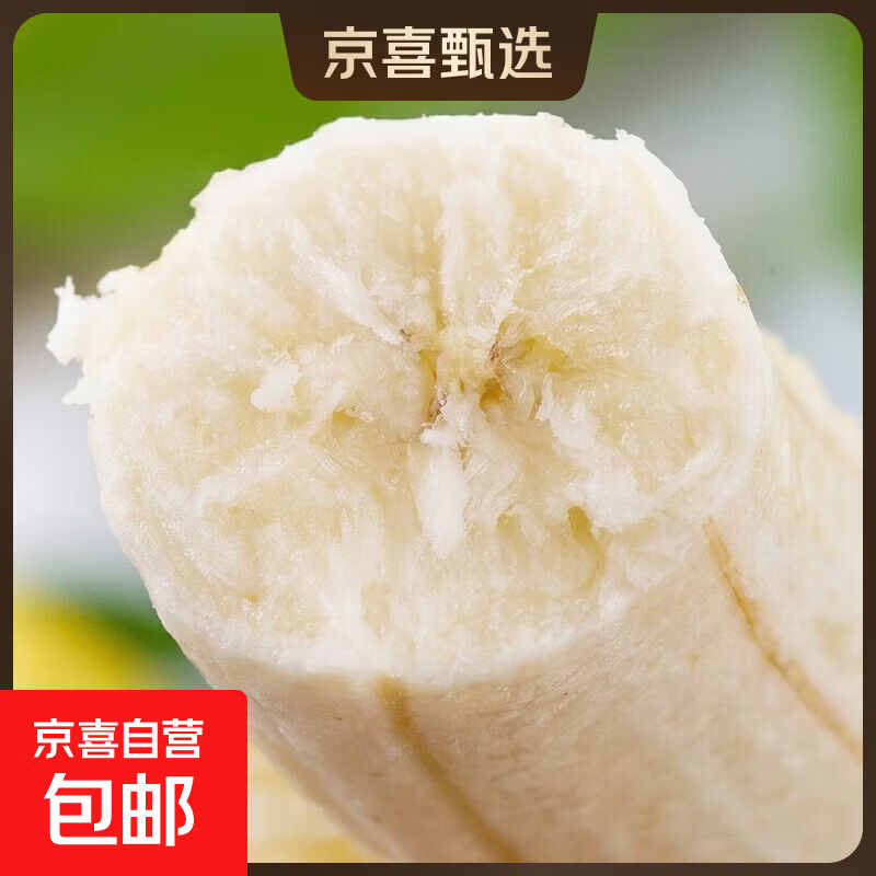 京喜加正宗广西香蕉高山单根蕉新鲜自然熟生鲜皮软变黄可食财敏11 单根香蕉带箱9斤 软糯香甜皮变软变黄可食