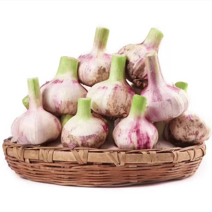 薏品甄鲜新鲜紫皮大蒜 新蒜 带泥紫皮大蒜头 鲜蒜 现挖现发 紫皮大蒜净重5斤【果径45mm+】