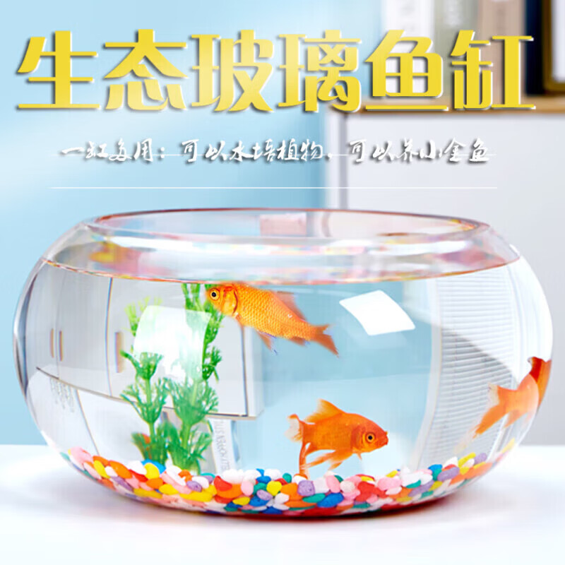 团圆月圆形玻璃鱼缸加厚透明玻璃乌龟缸客厅家用桌面圆形迷你小型 35鼓缸+雨花石缸造景6件套