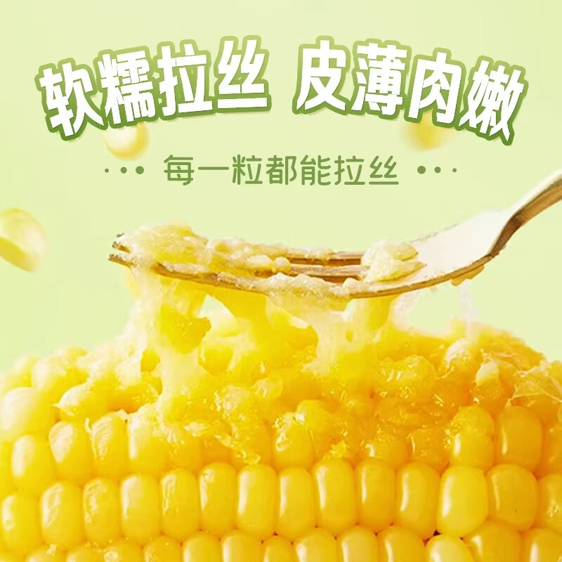 佟创东北黄糯玉米棒 新鲜甜糯玉米棒 代餐轻食真空包装黏粘玉米 糯玉米约12棒 净重5斤【囤货优选】