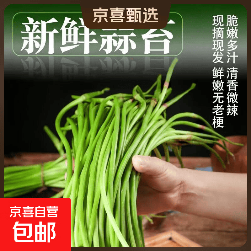 [东东买菜]农家自种蒜苔超市批发蒜苔生鲜蔬菜便宜好吃下饭 新鲜蒜苔2斤含箱