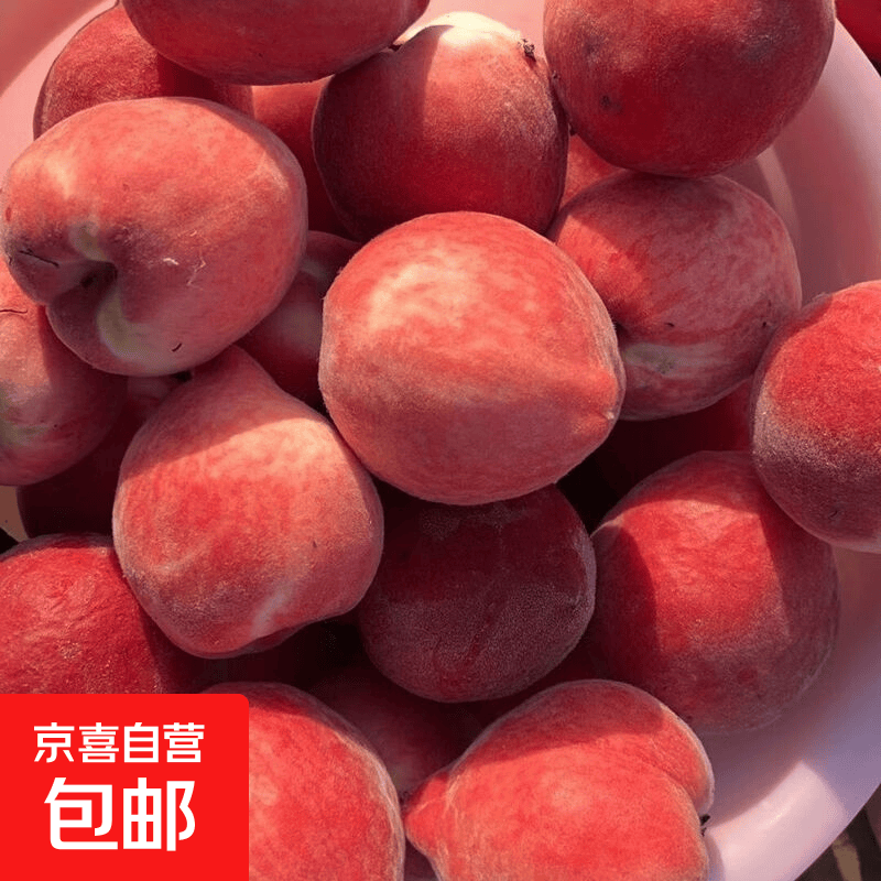 【露天桃】湖北头茬水蜜桃新鲜时令应急水果大毛桃子整箱 【尝鲜】1斤装 2-4粒大果（单果100g+)