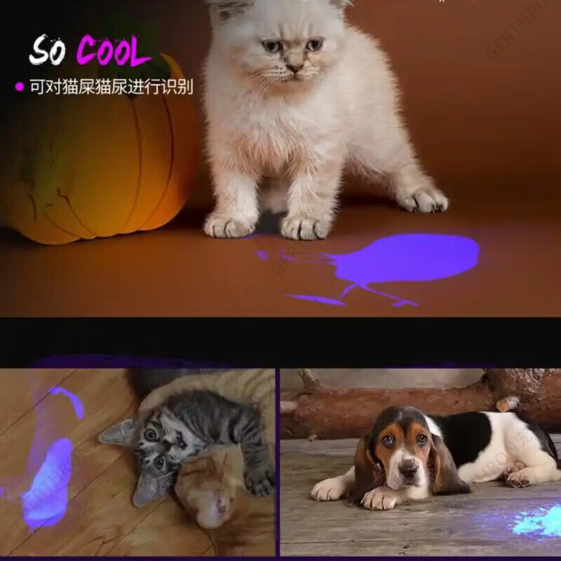 GERTHRON德国猫藓灯激光笔逗猫棒猫玩具逗猫神器自嗨解闷小猫幼猫消耗体力 【伍德氏猫藓灯】小白盒 5种图案 USB充电