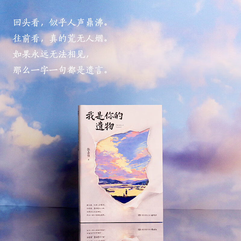 【当当礼盒版 现货速发】我是你的遗物 张嘉佳新书 张嘉佳新书2026全新小说 升维突破之作 强伏笔深治愈 如果永远无法相见 那么一字一句都是遗言