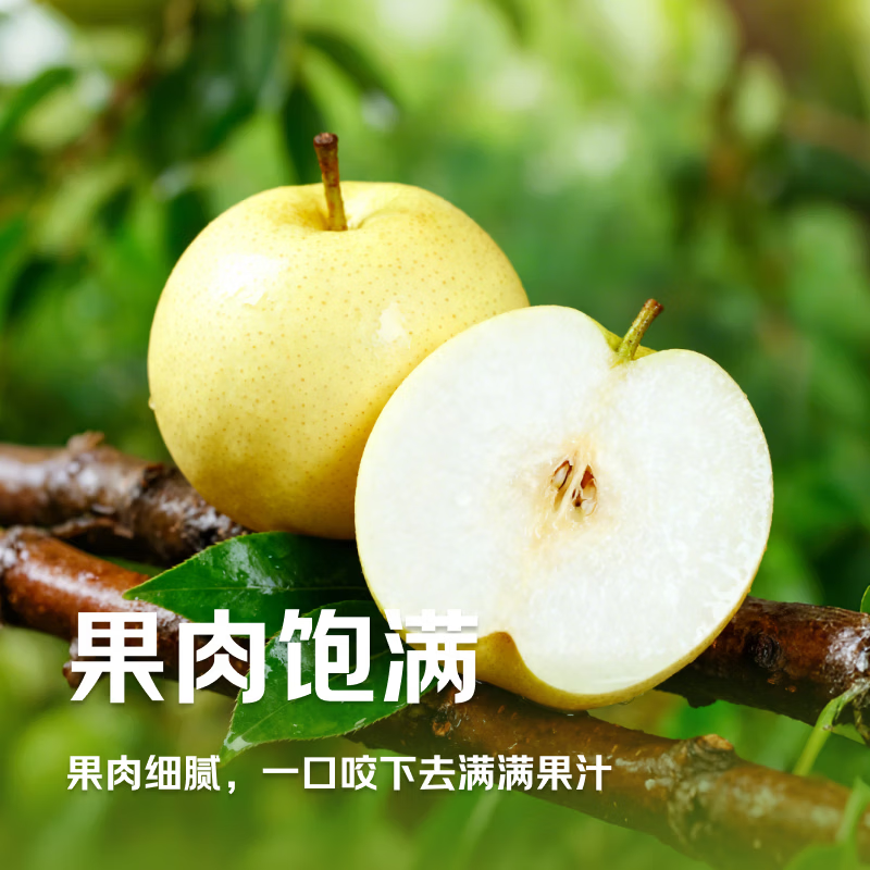 东鲜丰安徽砀山酥梨新鲜水果梨子砀山梨农家当季脆甜水果大果梨 净重4.5斤【单果250g+】