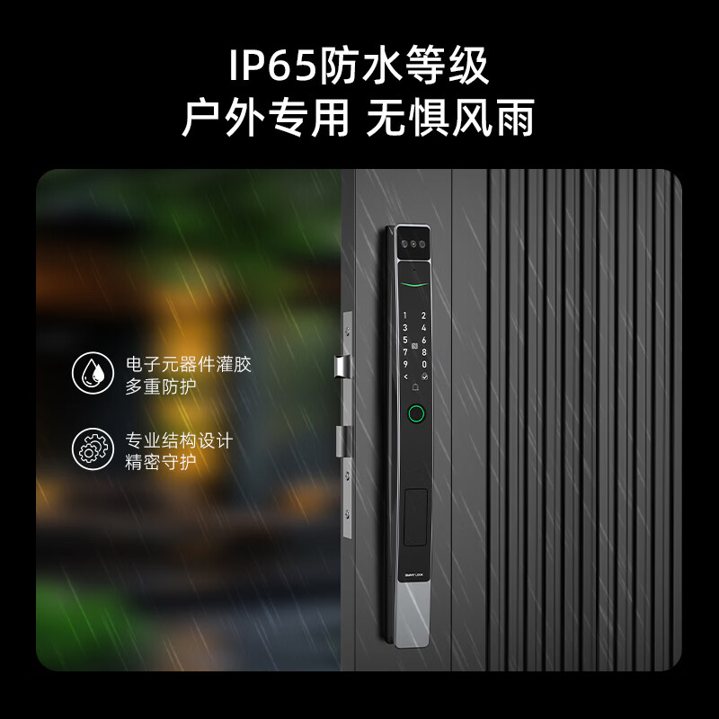 锁先森D30断桥铝门人脸识别智能锁包安装3年质保已接入米家APP 灰色 已接入米家APP(包安装)