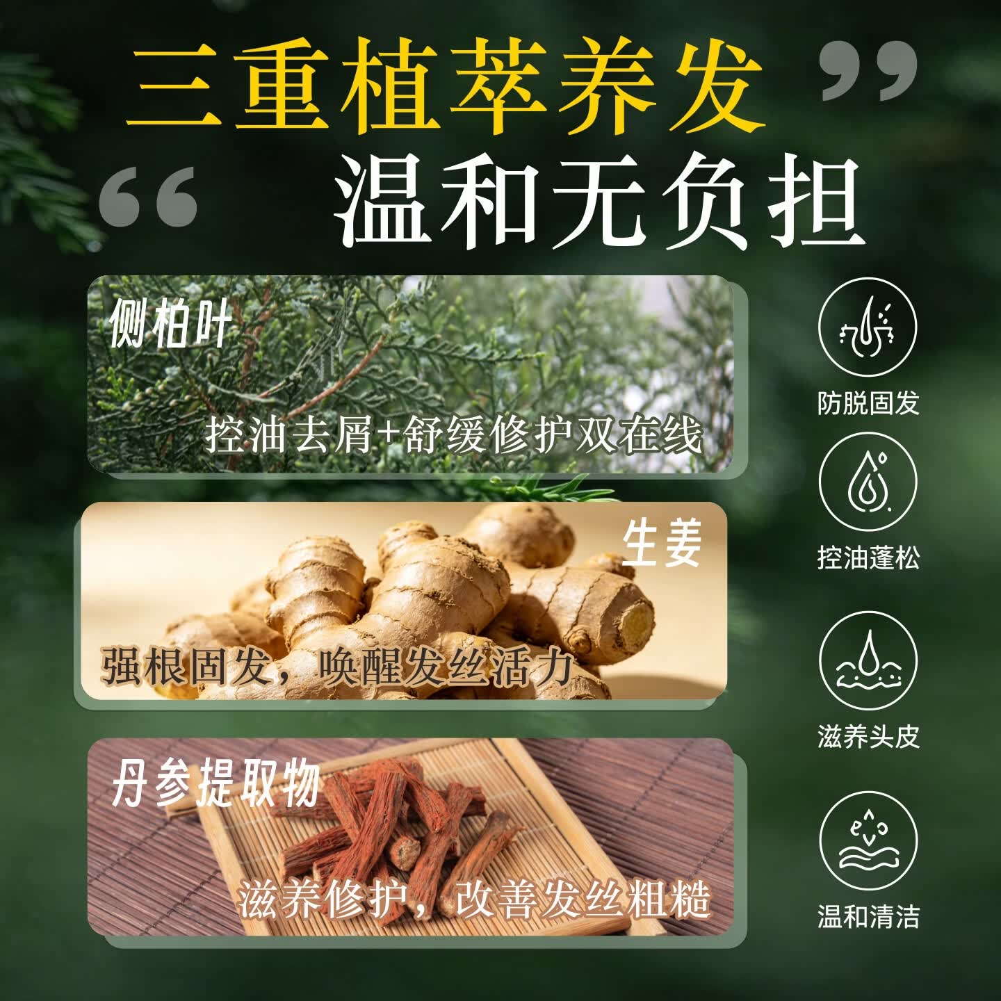 凯丽娜洗头膏男女士防脱发洗发水去屑止痒控油蓬松洗发液露正品官方品牌 防脱洗发水2瓶（买一赠六）