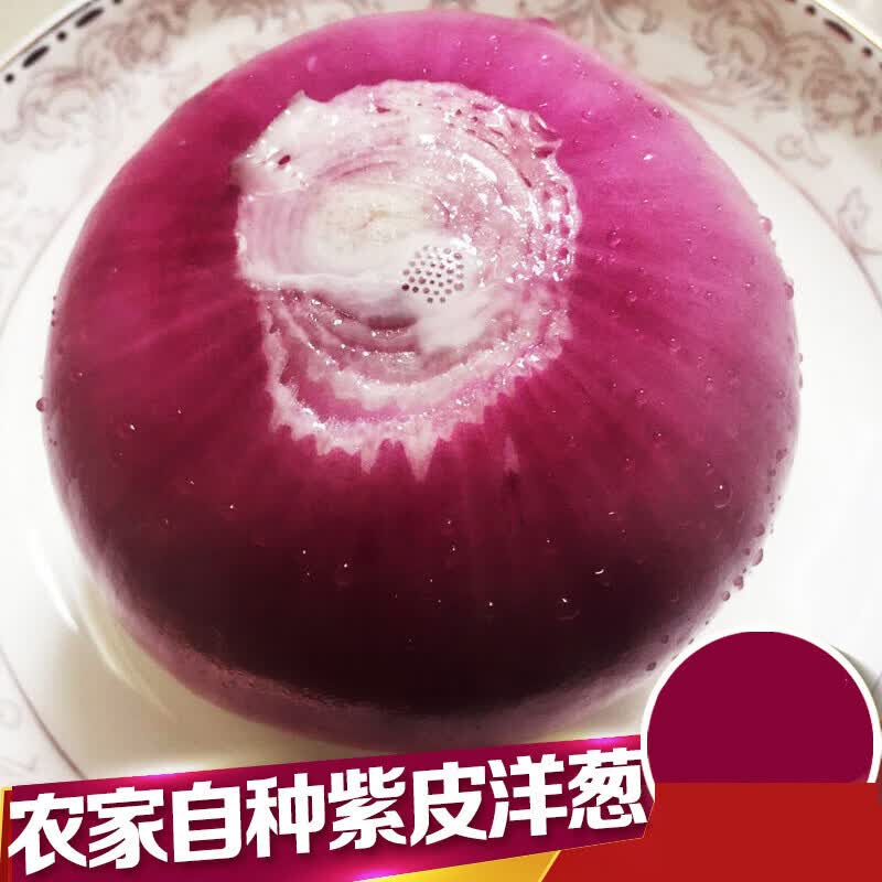 闽农语果新鲜现挖紫皮洋葱产地直供蔬菜生鲜洋葱 含箱5斤