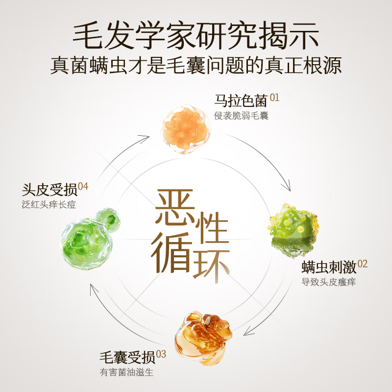 OSXE【专攻油痒屑】德国进口二硫化硒洗发水深层控油蓬松止痒除螨正品 【根源去屑止痒】二硫化硒洗发水500ml