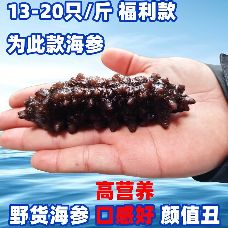 亿鲜笙海参即食大连鲜活野生辽参非干货海参孕妇刺参礼盒500g单个装 13-20只/斤【野货丑参】福利实惠口感好 4斤装【量大囤货】
