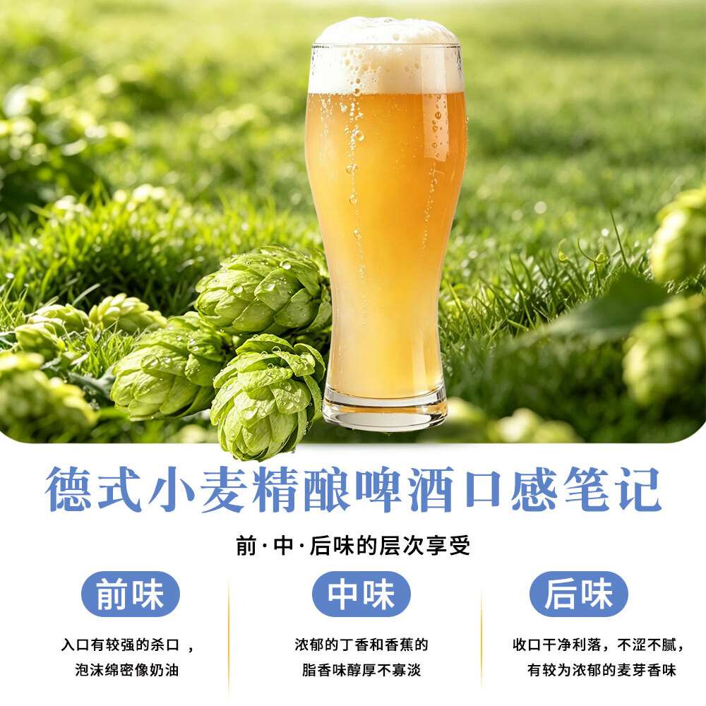 央小啤德式小麦12P 全麦精酿啤酒 进口麦芽进口酒花28天发酵整箱送礼 500mL 12瓶