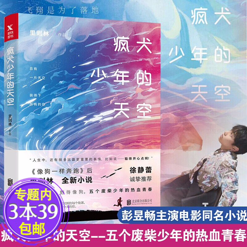 【包邮】疯犬少年的天空彭昱畅主演电影风犬少年的天空同名小说里则林作品另著像狗一样奔跑励志图书籍