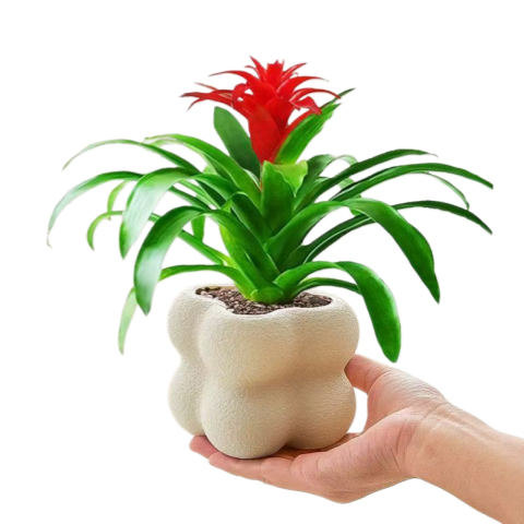���ڲ������ֻ��Ժ��˵�ͷ���Ի���ֲ�����ڻ���������ˮ��ֲ����˵�ͷ��ֲ���� ���˵�ͷ�������衿 6.85Ԫ