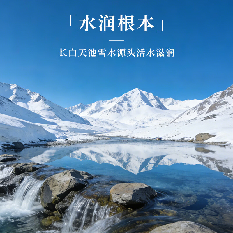 长白山人参全须生晒参 活性参礼品盒装 全须生晒参 20g*4盒 共10-12支