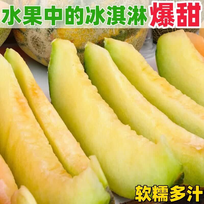 鲜雅堂新疆老汉瓜【顺丰空运-上门到家】火焰蜜瓜吐鲁番巴登金纹老汉瓜 4-5斤净重 【单个大果独享】