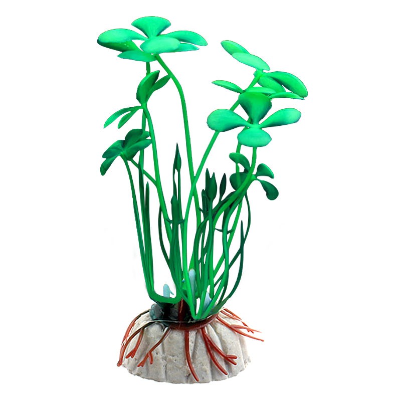 假草 相关京东优惠商品价格升序 价格图片品牌优惠券 虎窝购