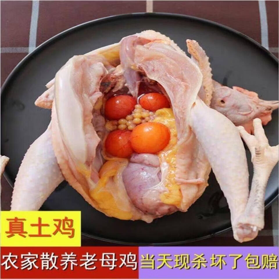 正宗农家散养三年黄油老母鸡土鸡跑山鸡孕妇月子鸡走地鸡现宰现发 4.5斤（3年鸡龄【4.3-4.8斤】）