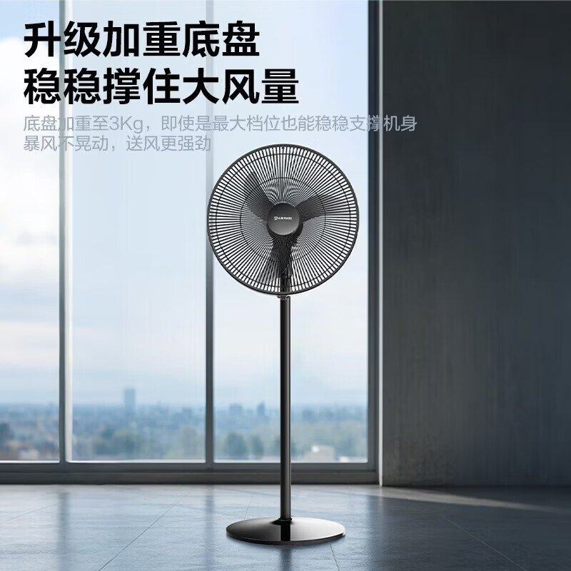 艾美特(AIRMATE)电风扇落地扇家用工业风扇立式大风力客厅宿舍五叶扇轻音节能远距电扇纯铜电机牛角扇风扇踏青放价 牛角扇FS45-X6【黑色】