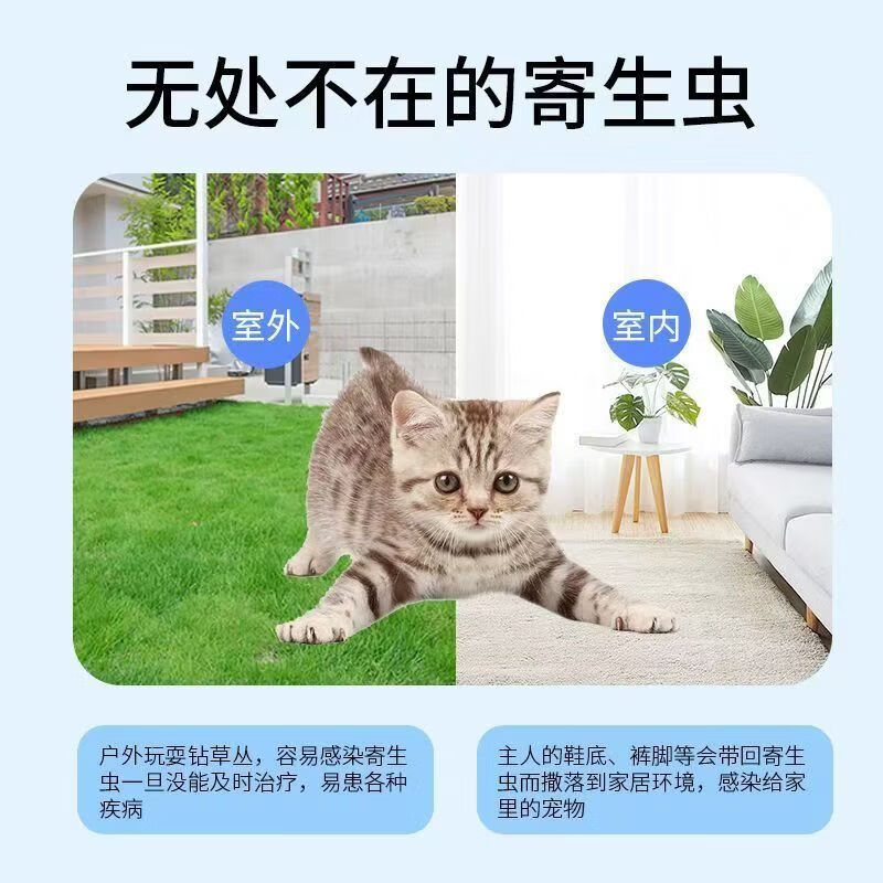 大宠爱（Revolution）大宠爱猫咪驱虫套餐猫驱虫药内外同驱宠物用除耳螨跳蚤滴剂 成猫整盒【刮码】 3支*1盒