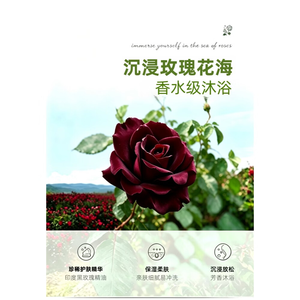 芳香世家香海岸玫瑰精油保湿沐浴露保湿补水滋润持久留香 300ml