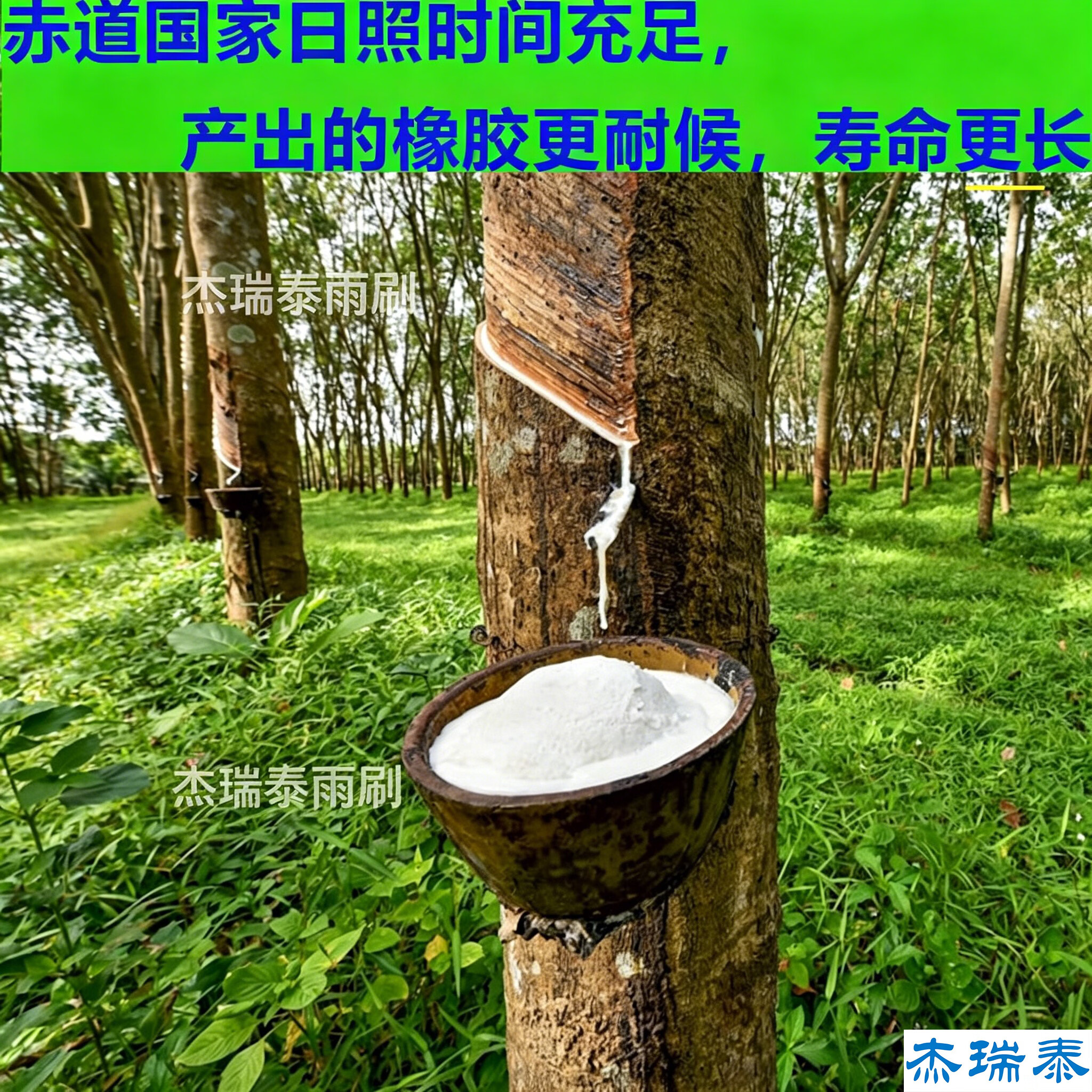 杰瑞泰（JERRYTEC）99%汽车有专车专用无骨雨刷片雨刷器雨刮器干净静音胶条进口橡胶 适用于坦克300/400/500/700车型 2套4支专车专用下单请您备注车型年份或车架号