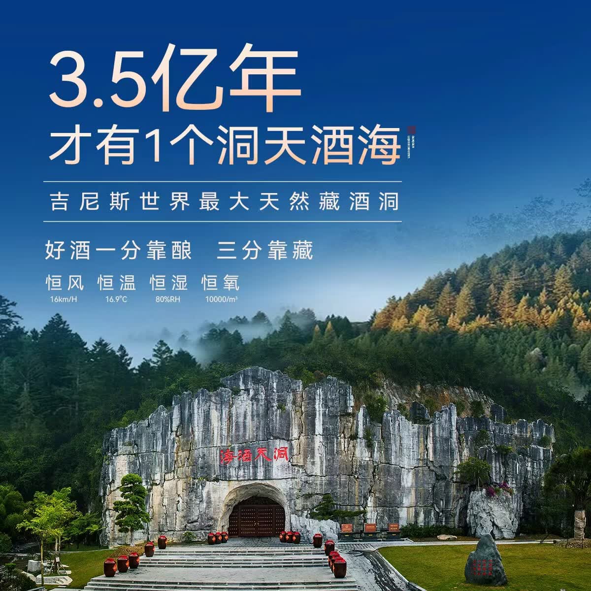 丹泉酒洞天酒海初心53°酱香型白酒500ml洞藏粮食酿端午送礼父亲节送礼 53度 500mL 6瓶 整箱【原盒原码】