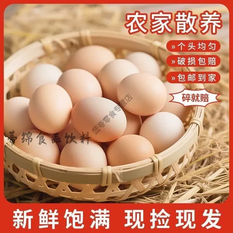 农家散养新鲜土鸡蛋农家虫草蛋粉壳笨鸡蛋整箱批发 整箱单枚 10枚农家鲜鸡蛋约405g