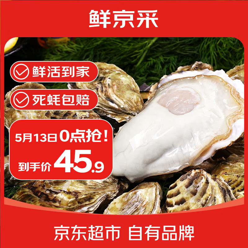 鲜京采 鲜活生蚝5XL 净重5斤 9-12只 鲜活到家 海鲜 源头直发