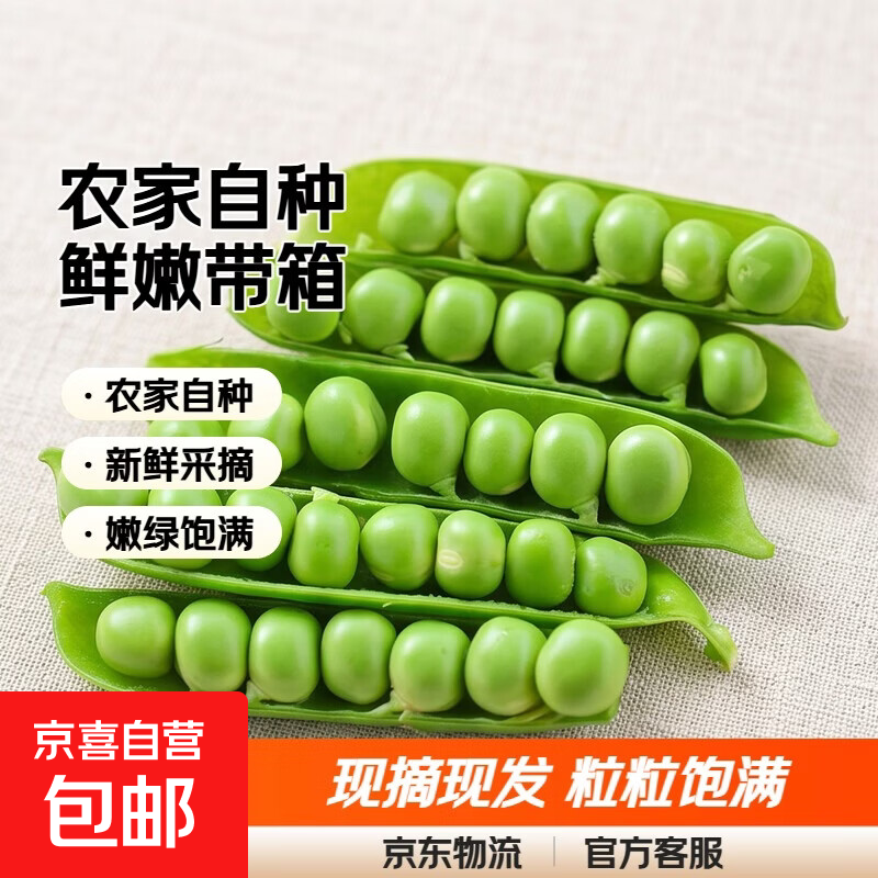 青豌豆新鲜蔬菜农家自种豌豆生吃豌豆苗嫩豌豆粒 新鲜豌豆4斤带箱