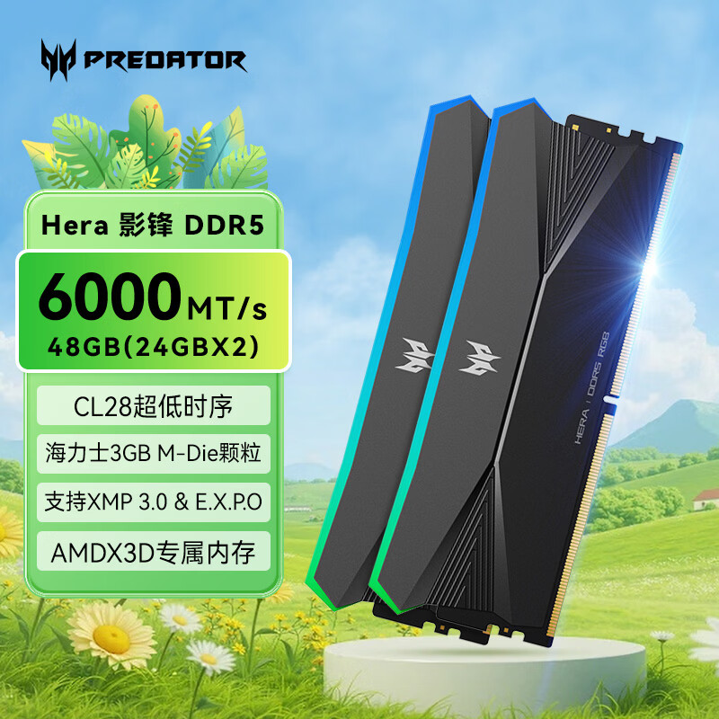 宏碁掠夺者（PREDATOR）48G(24G×2)套装 DDR5 6000频率 台式机内存条 Hera影锋系列 RGB灯条(C28) 潜影黑 AI电脑配件