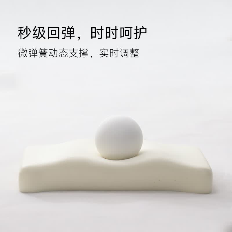 STAREEP希瑞植物基枕头护颈枕颈椎病深度睡眠专用天思眠颈椎枕CN-PC20B 单只装| 冬日白雪