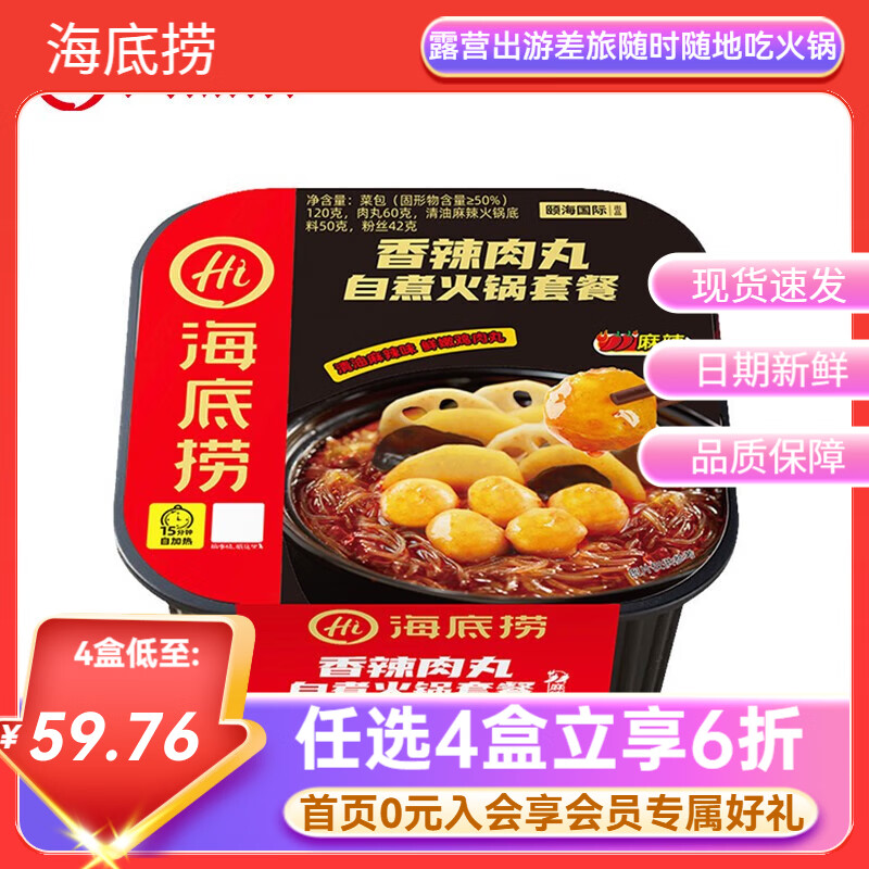 海底捞自热火锅【任选4盒到手59.9元】方便速食麻辣烫自煮学生宿舍夜宵b 香辣肉丸272g*1盒