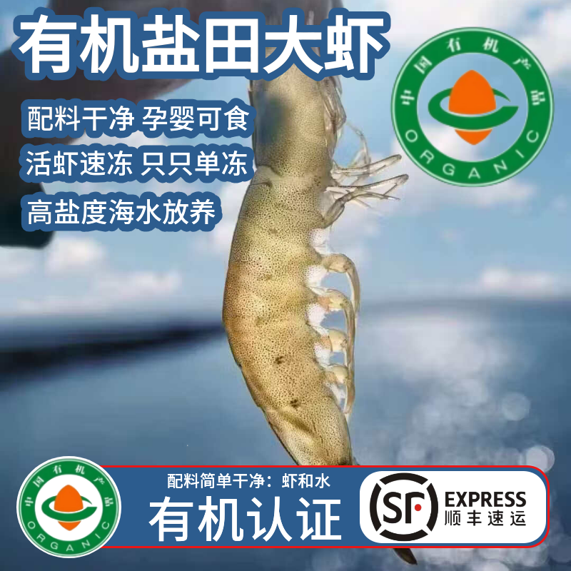 春兴蓝岸【有机大虾】盐田虾海虾鲜虾白虾虾仁生鲜海鲜水产冻虾孕妇儿童辅 有机盐田虾 1000g(净重)  40-50只/斤