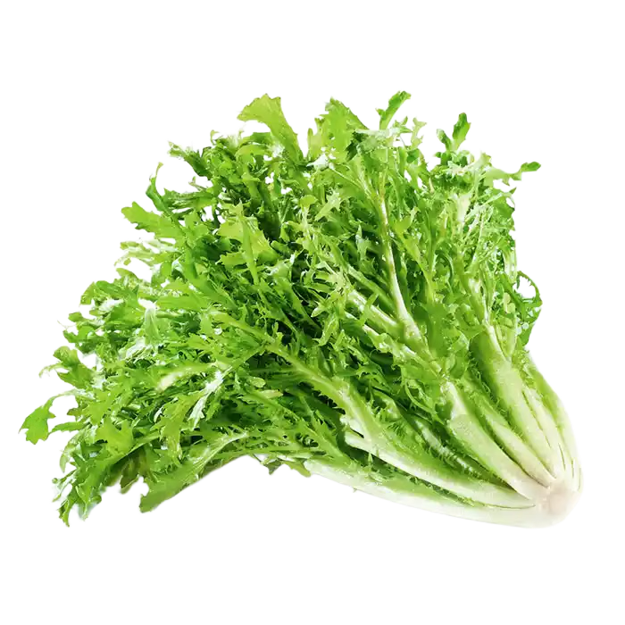 沙拉吃不饱？吃了凉不凉？给你说一说沙拉到底怎么做