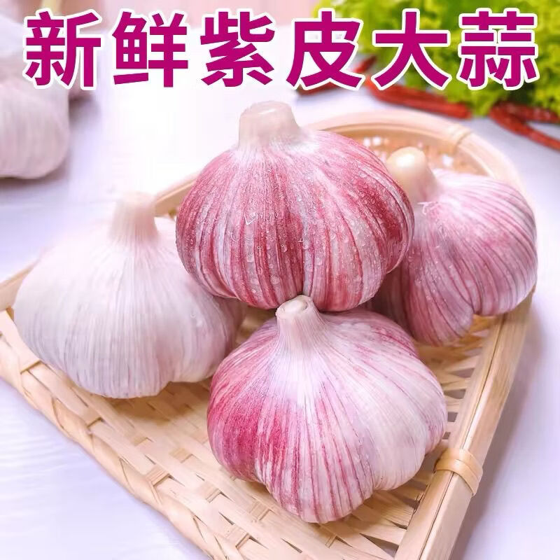 仙果春天2026年正宗新鲜大蒜头 现挖湿蒜新蒜紫皮大蒜生鲜蔬菜可做糖醋蒜 新鲜带泥鲜蒜 3斤