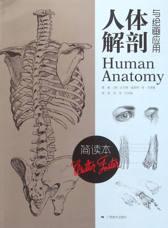 人体解剖与绘画应用(简读本)