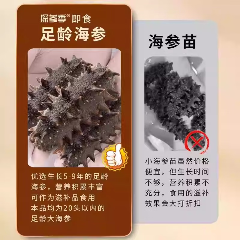 探参季高品质即食海参大连冷蒸锁鲜鲜食海参独立包装开袋即食营养滋补品 4斤装 13-17只/1斤