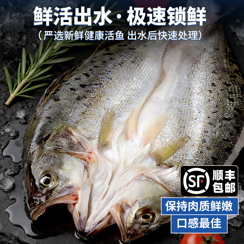 潮夫道开背海鲈鱼 三去免处理无抗生素刺少肉厚海捕海鲜水产鱼类生鲜 海鲈鱼2条装(400-500g/条)
