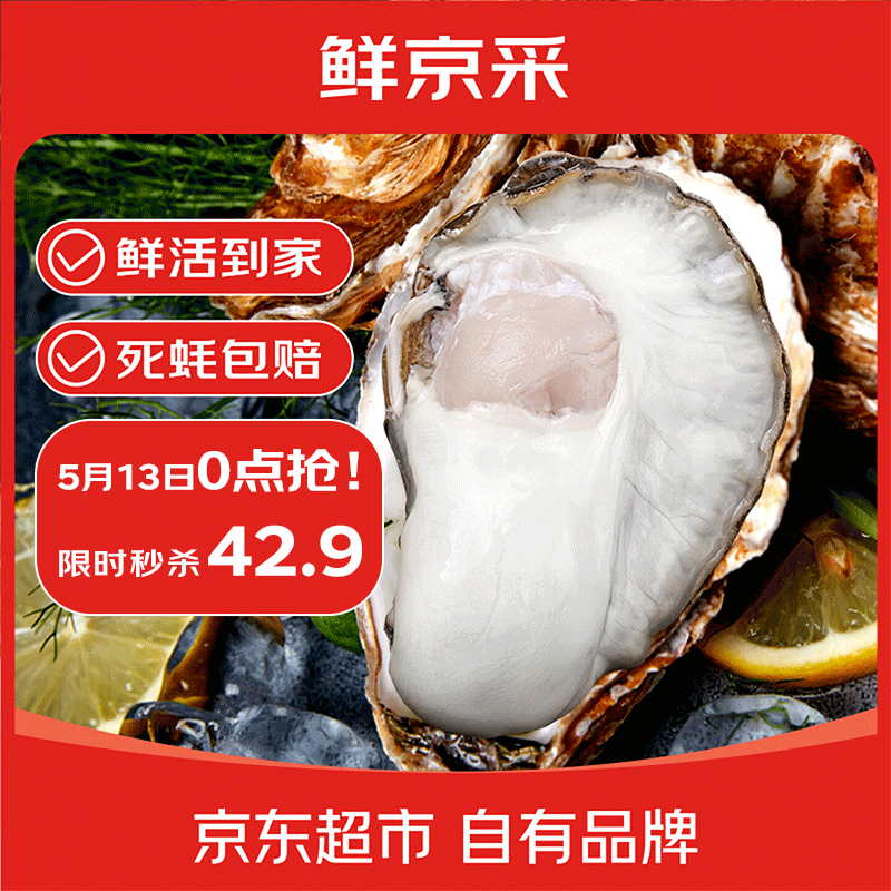 鲜京采鲜活生蚝4XL 净重5斤 10-13只 鲜活到家 源头直发 海鲜水产