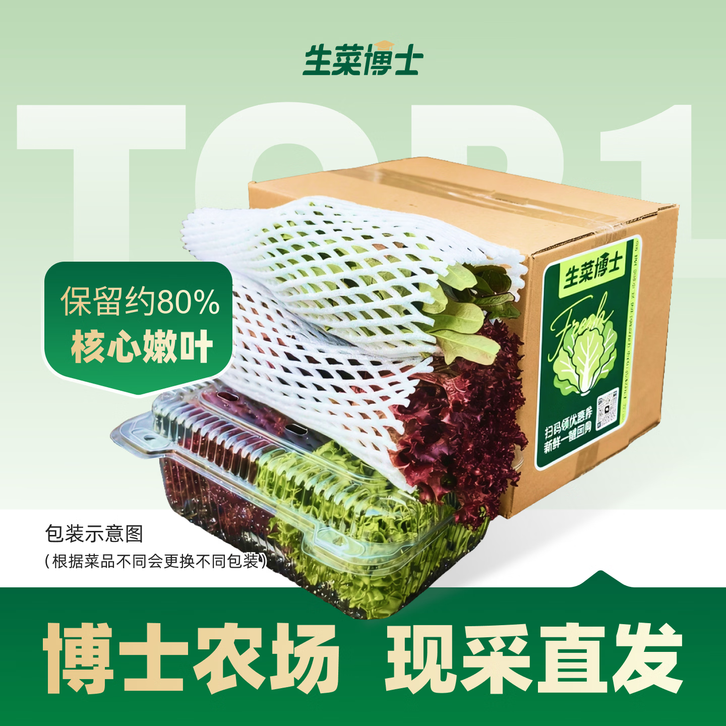 生菜博士 生菜组合(3-5种生菜) 富含维E 花青素 GABA氨基丁酸 现采现发 2斤