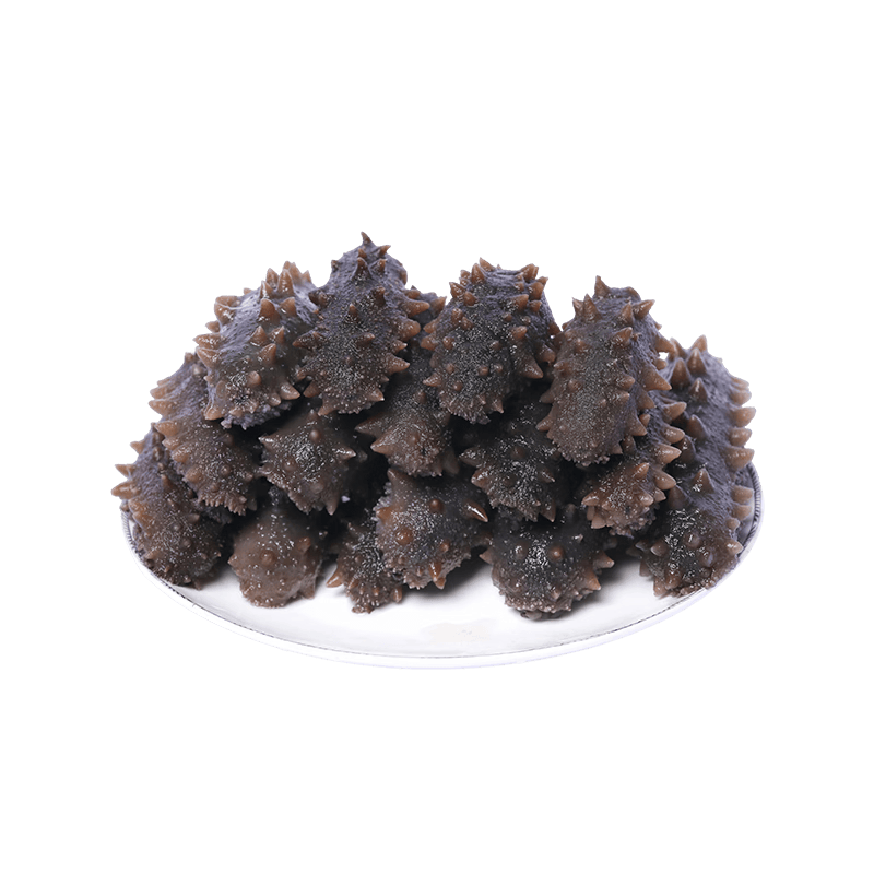 密北渔场即食海参1000g礼盒装大连优质辽参80-160g/只 源头直发 端午礼品