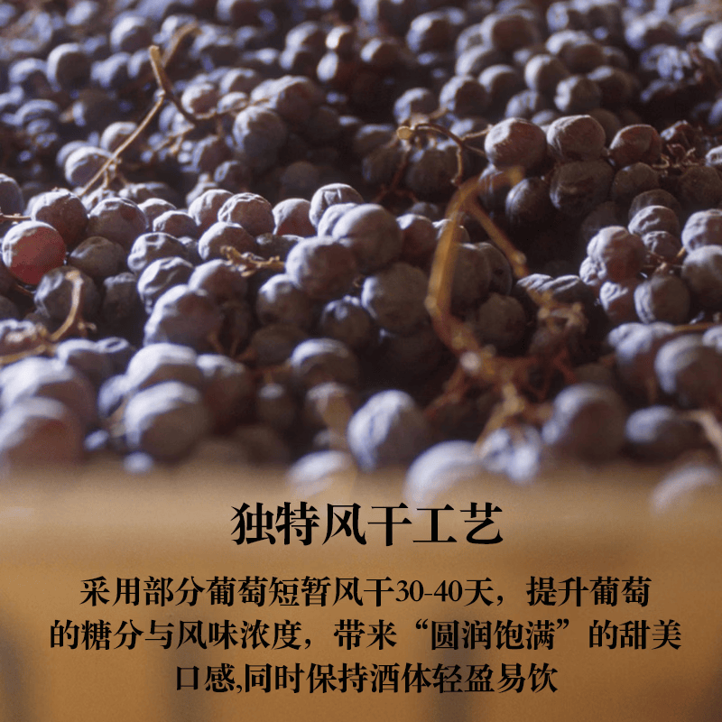 LEERER意大利卓越双喜干红葡萄酒阿玛罗尼同源风干工艺饱满圆润节日礼盒 【整箱六支】750ml*6