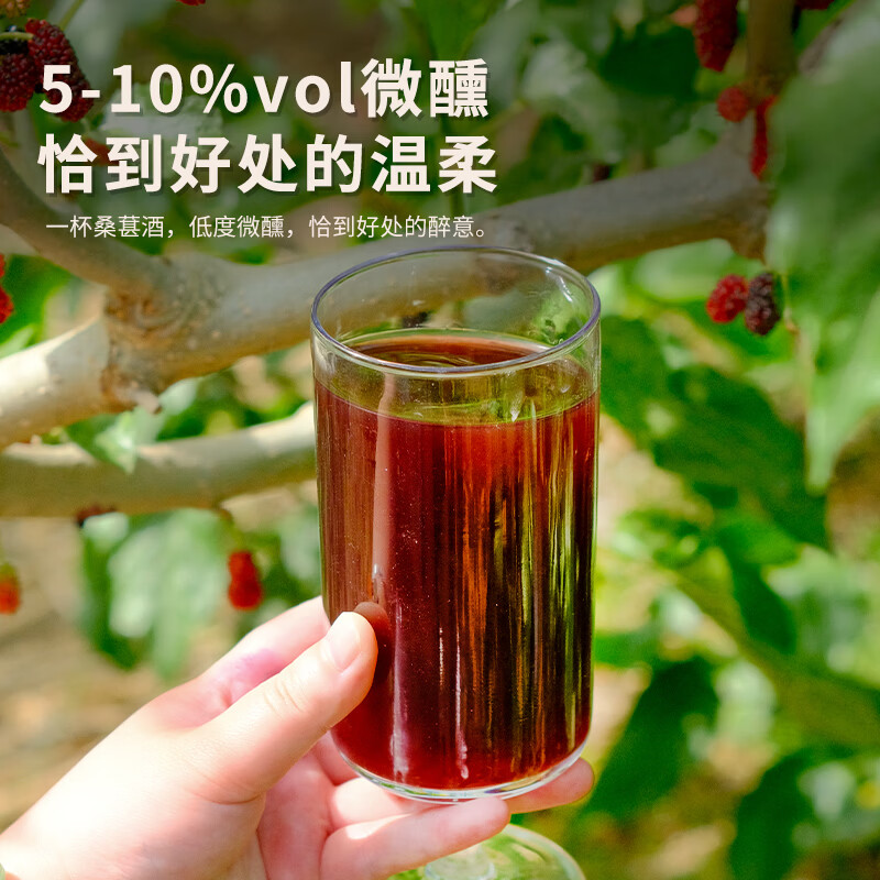 梦香园桑葚黑枸杞糯米酒农家自酿纯粮食浸泡果酒养生酒微醺古法酿制甜酒 【2瓶】6度 桑葚米酒2斤装
