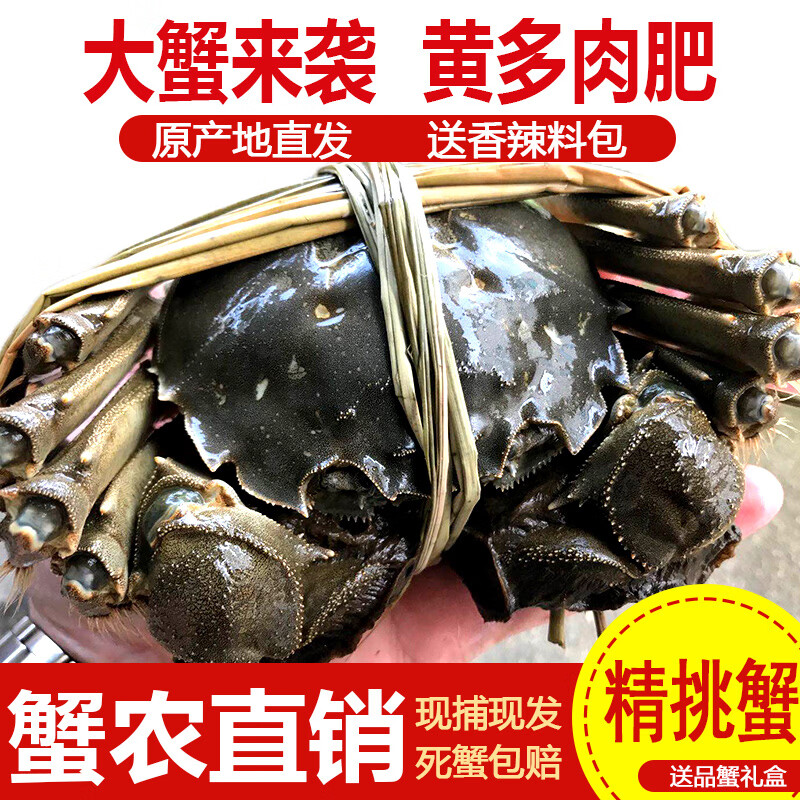 【活蟹】阳澄小斌大闸蟹 鲜活特大螃蟹公蟹母蟹 海鲜水产生鲜礼盒 精品六月黄3.0-3.3两 八只礼盒装